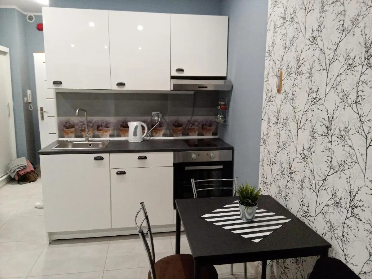Roza- Lotnisko Apartment Wroclaw